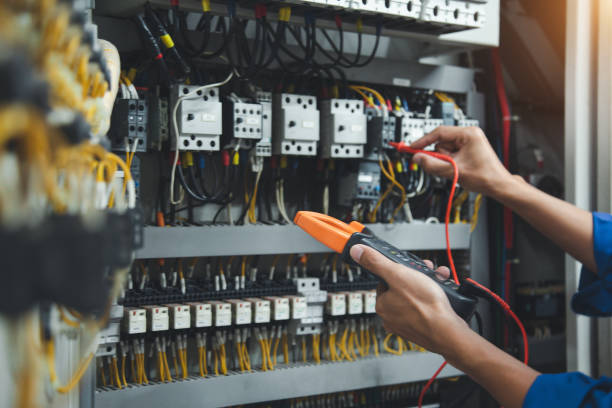 Best Electric Panel Repair  in Hillside Lake, NY